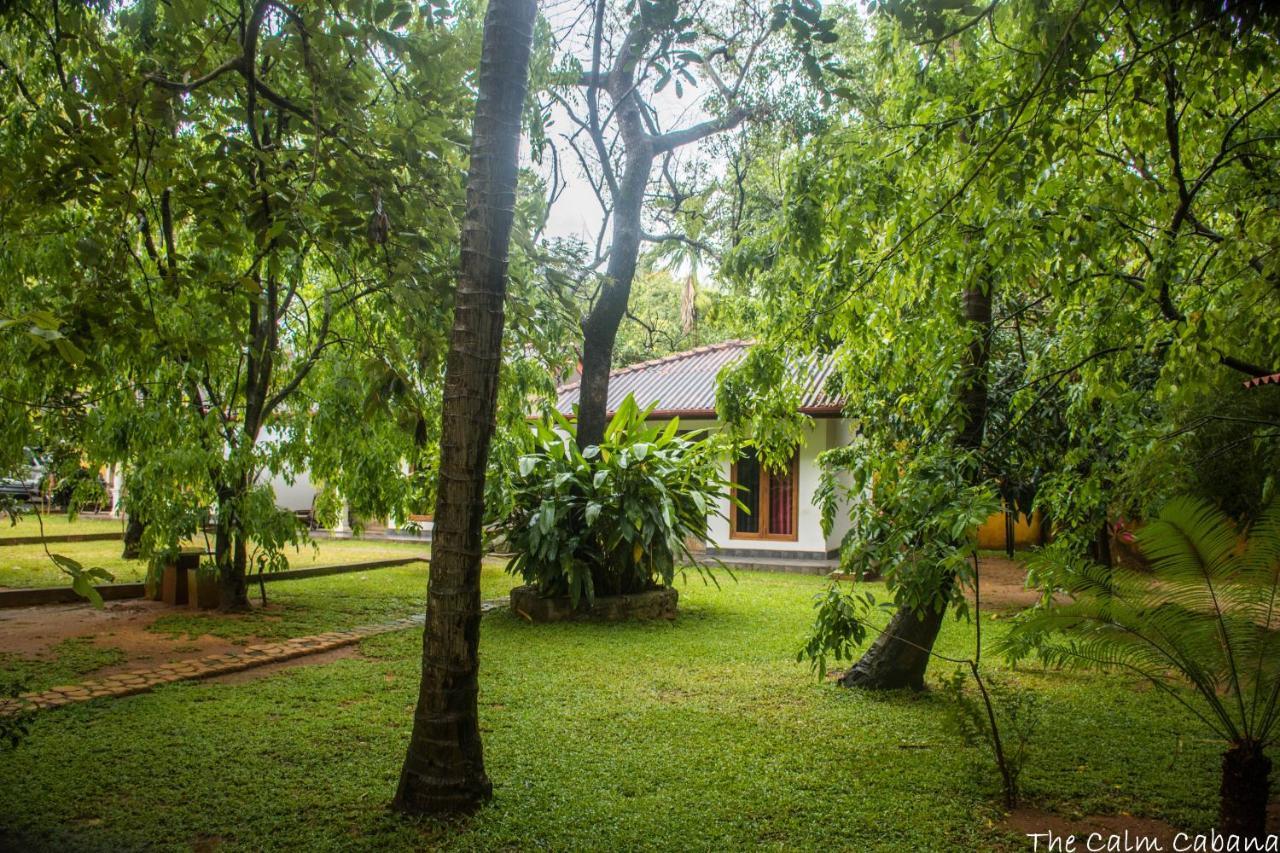 The Calm Cabana دامبولا المظهر الخارجي الصورة