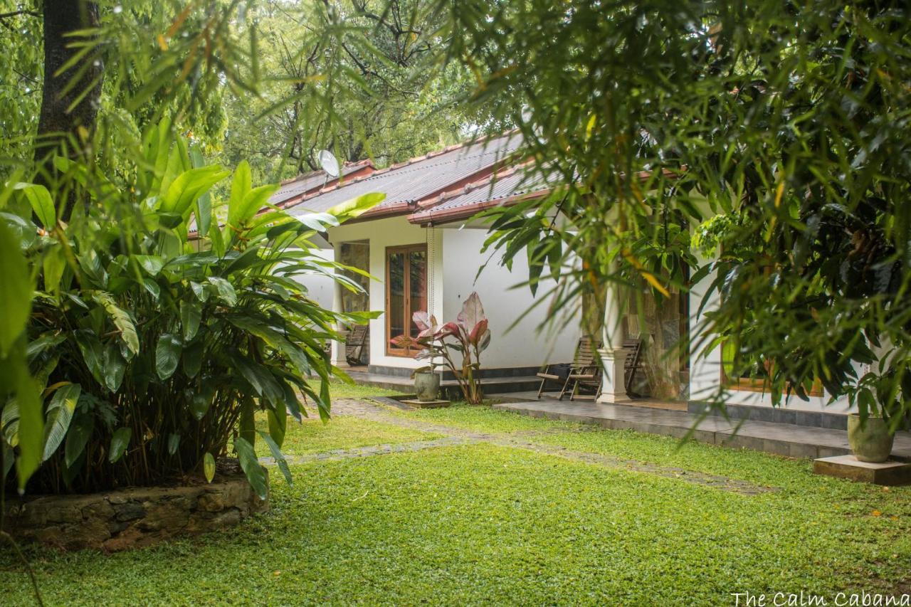 The Calm Cabana دامبولا المظهر الخارجي الصورة