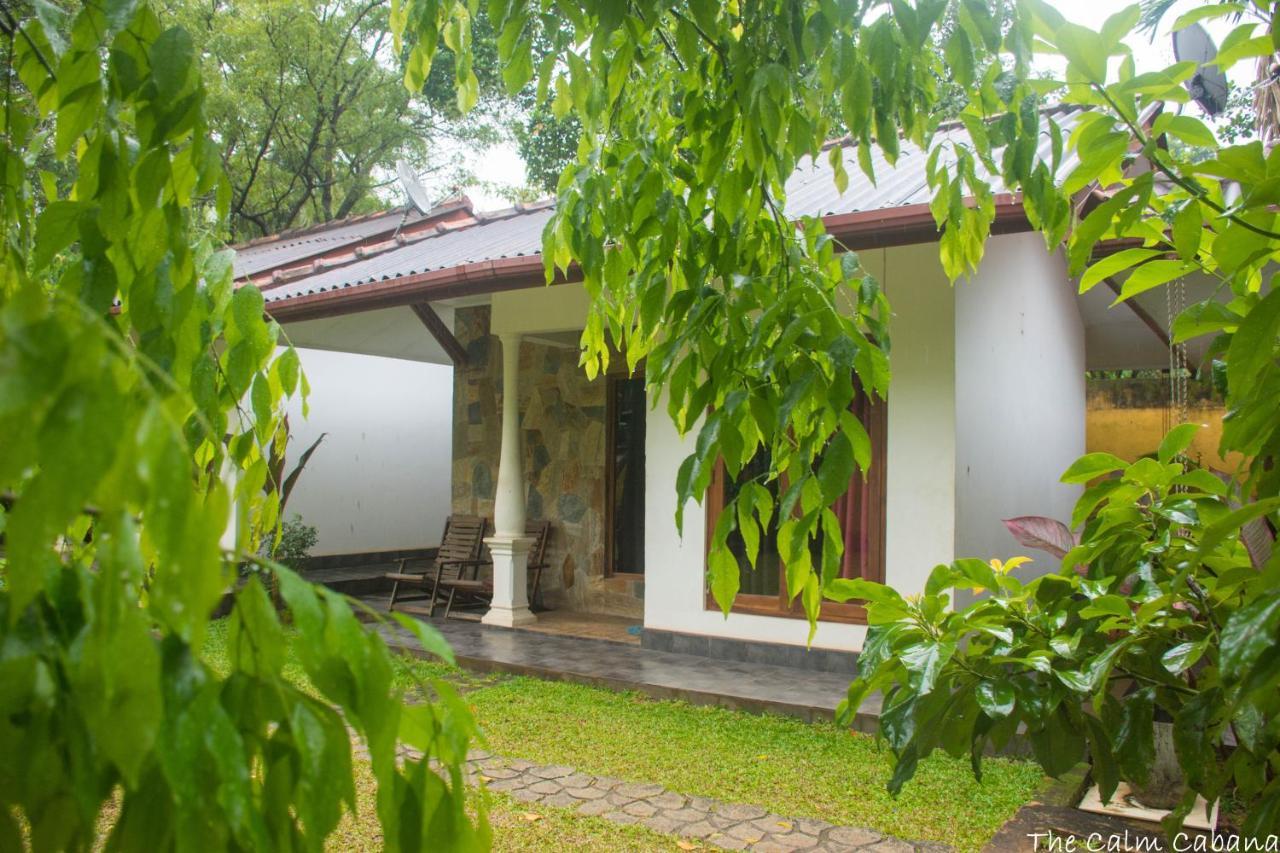 The Calm Cabana دامبولا المظهر الخارجي الصورة