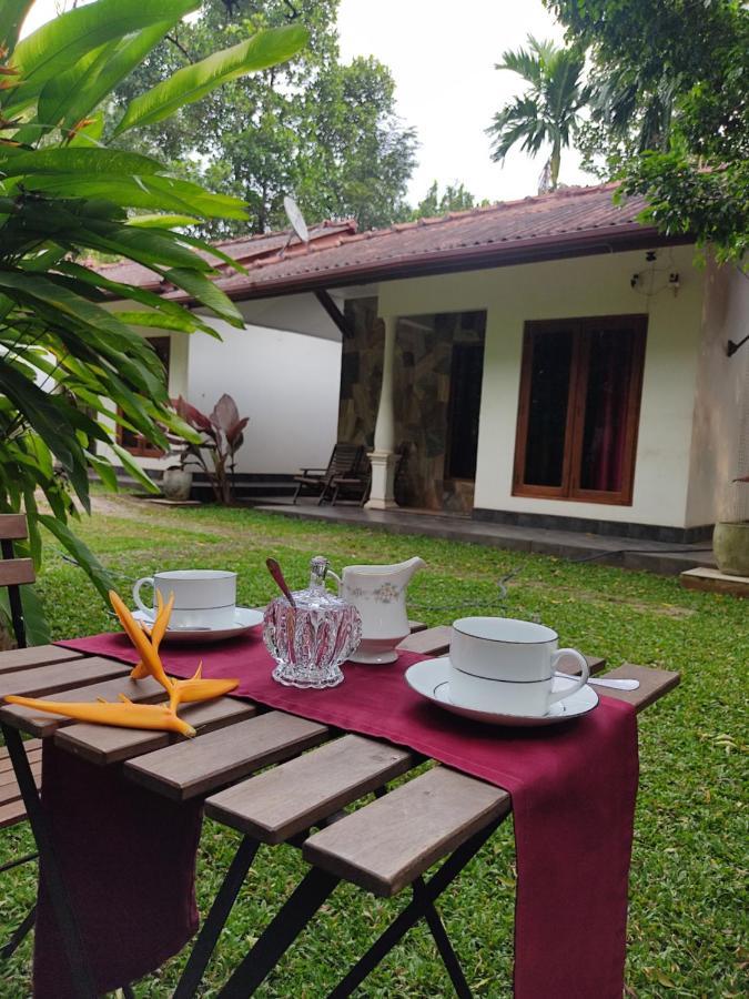 The Calm Cabana دامبولا المظهر الخارجي الصورة